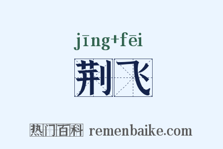 荆飞是什么意思的图片